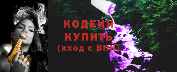 крисы Вязьма